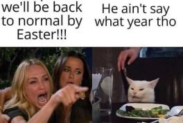 Trump said we'll be back to normal by Easter angry cat meme