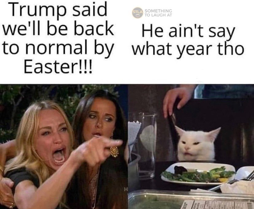 Trump said we'll be back to normal by Easter angry cat meme