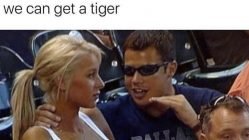Me explaining to my girl that if we combine our $1200 stimulus checks we can get a tiger meme