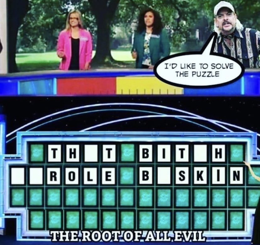 I'd like to solve the puzzle Joe Exotic Tiger King wheel of fortune meme