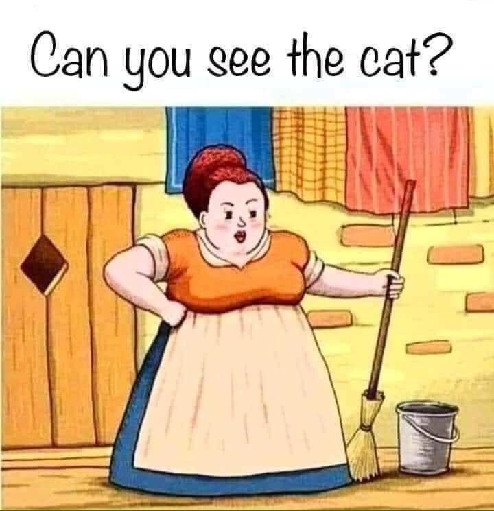 Can you see the cat?