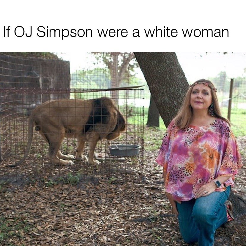 If OJ Simpson were a white woman Carole Baskin Tiger King meme