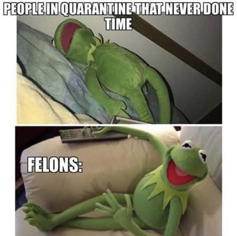 People in quarantine that never done time vs felons Kermit the frog meme
