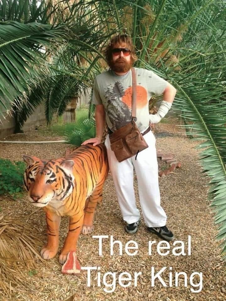 The real Tiger King Zach Galifianakis meme