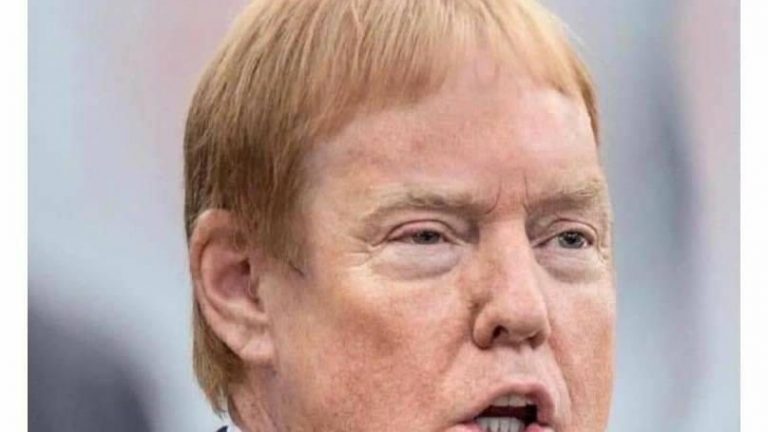 Cutting your own hair in lockdown Donald Trump meme