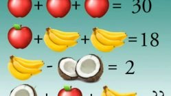 Fruit puzzle meme