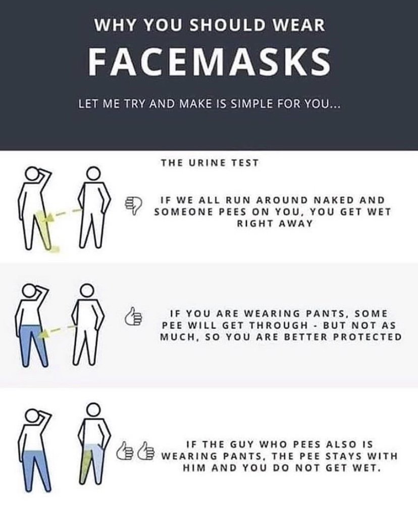 Why you should wear facemasks meme