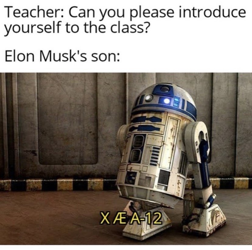 Can you please introduce yourself to the class Elon Musk son meme