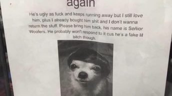 I lost my bitchass dog again sign