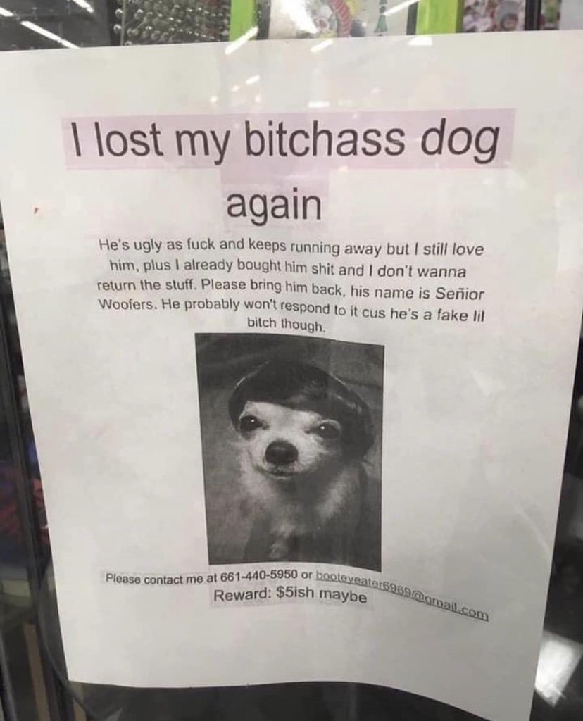 I lost my bitchass dog again sign