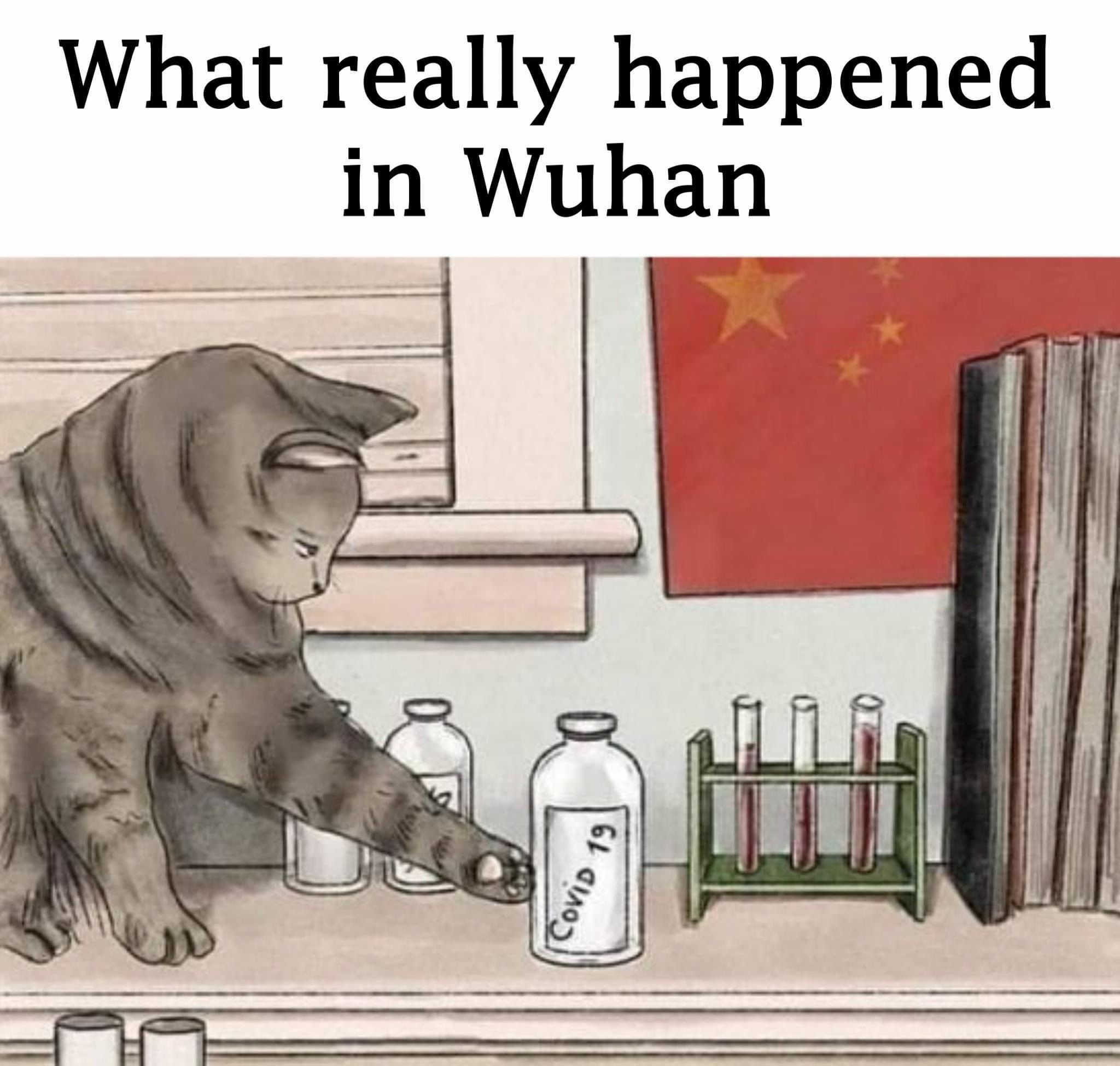 What really happened in Wuhan 