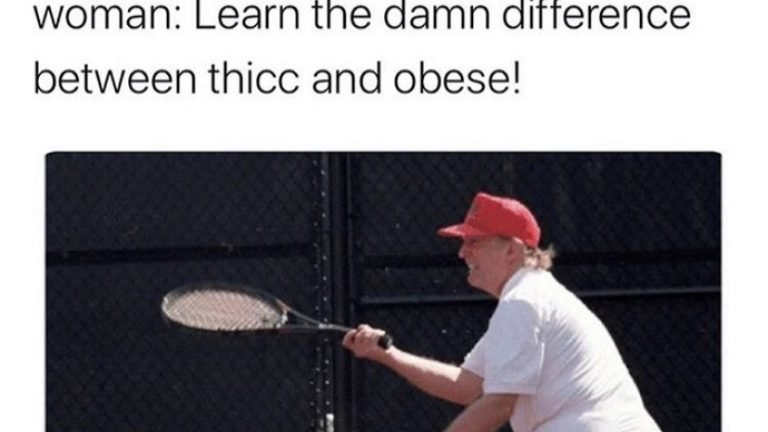 Pelosi calling Trump morbidly obese meme
