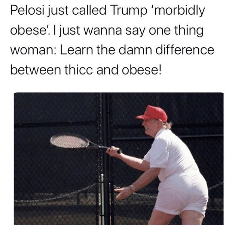 Pelosi calling Trump morbidly obese meme