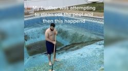 cleaning a swampy pool
