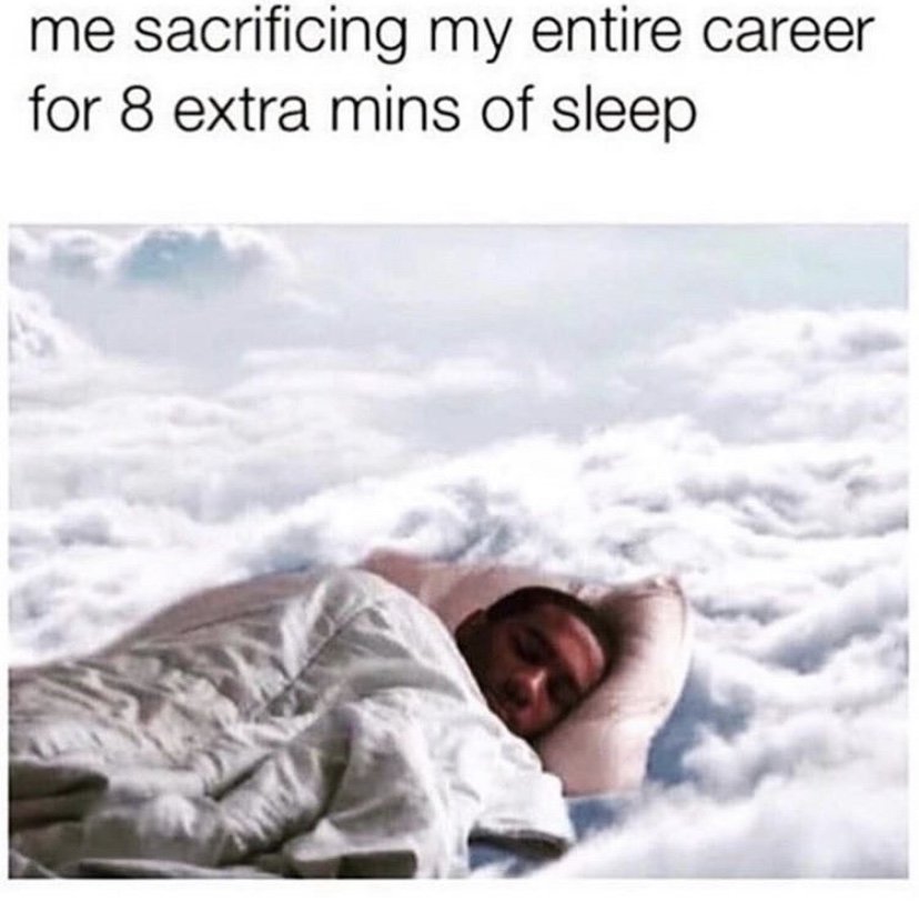 Me sacrificing my entire career for 8 extra minutes of sleep meme