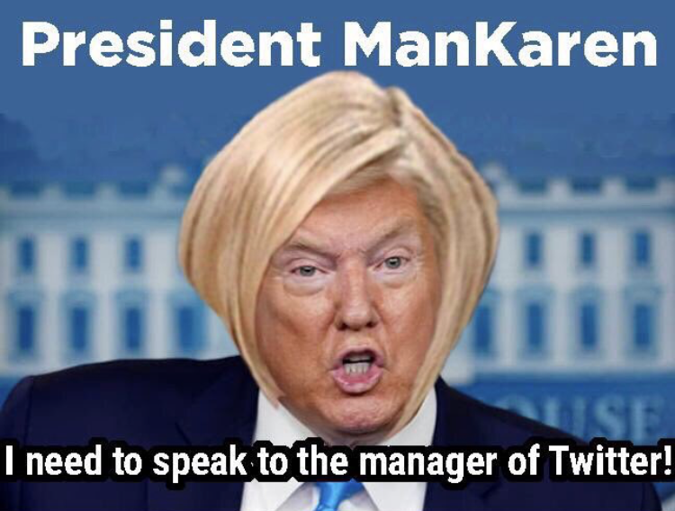 President Donald Trump ManKaren meme