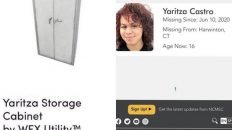 Wayfair Yaritza storage cabinet by wfx utility