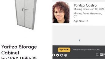 Wayfair Yaritza storage cabinet by wfx utility