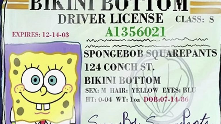 Spongebob birthday driver's license