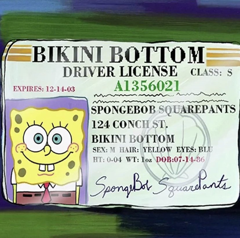 Spongebob birthday driver's license 