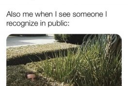 Me hiding from people I recognize in public meme