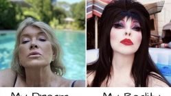 My dream vs my reality Martha Stewart in pool meme