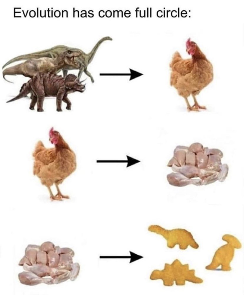 Evolution has come full circle
