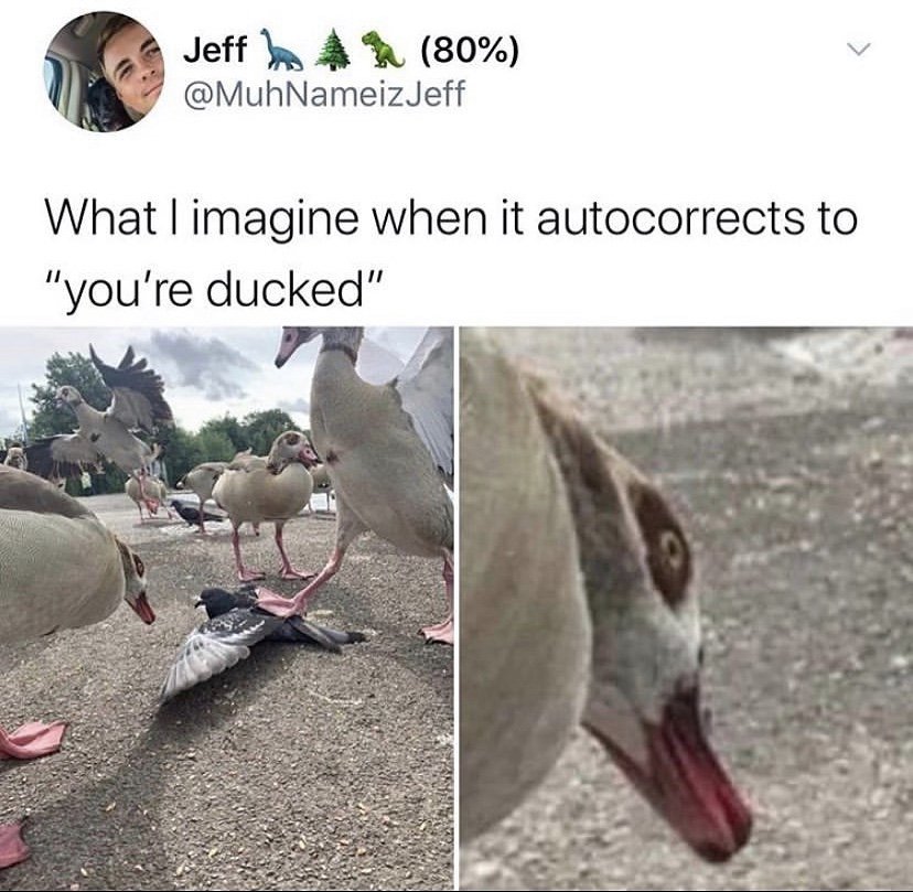 What I imagine when autocorrects to you're ducked 