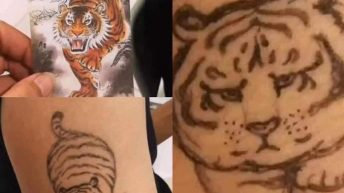 Tiger tattoo what I asked for vs what I got