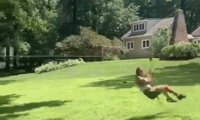 Backyard zipline fail
