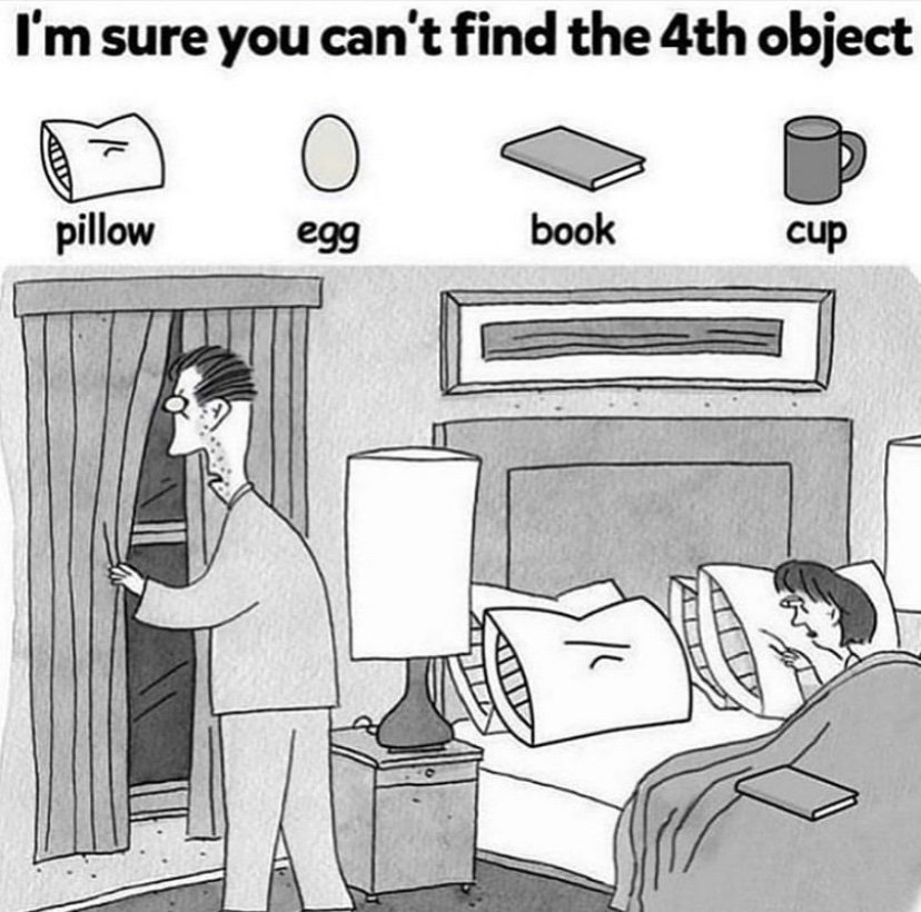 I'm sure you can't find the 4th object puzzle