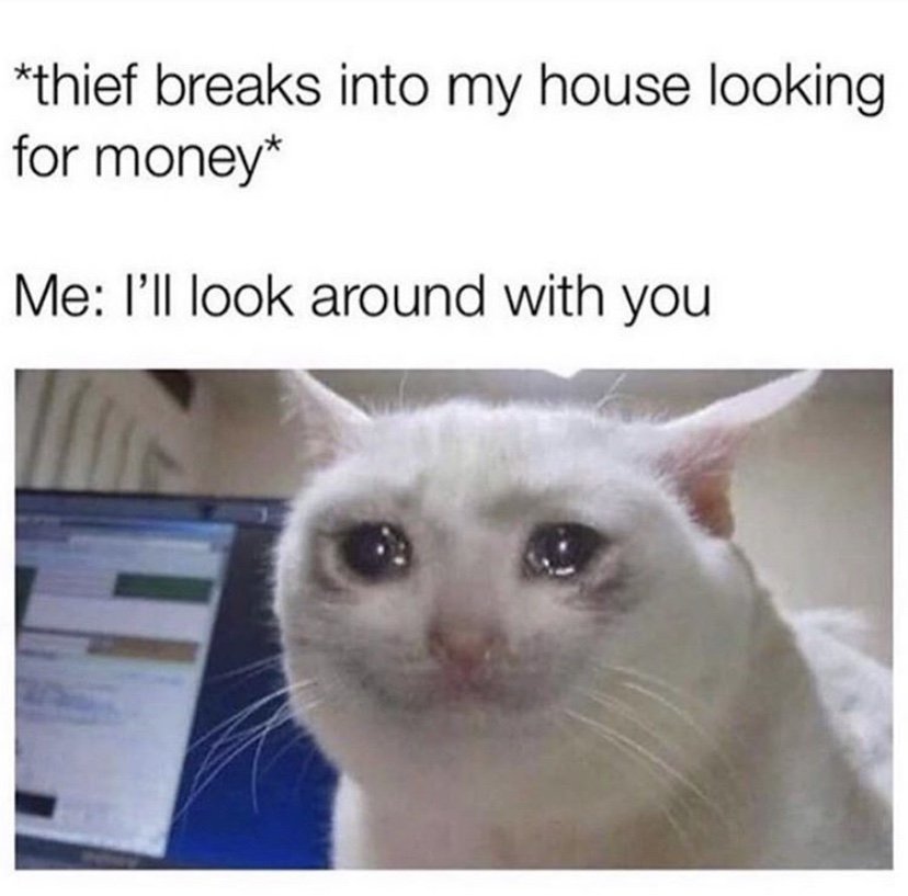 Helping thief look for money crying cat meme
