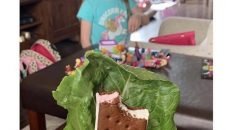 Parent hide's ice cream behind lettuce meme