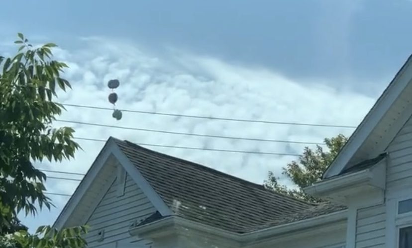 Balloon blows up on power line