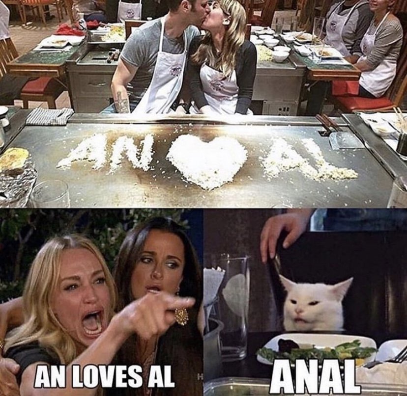An loves Al angry cat meme