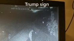 Guy caught peeing on Trump sign