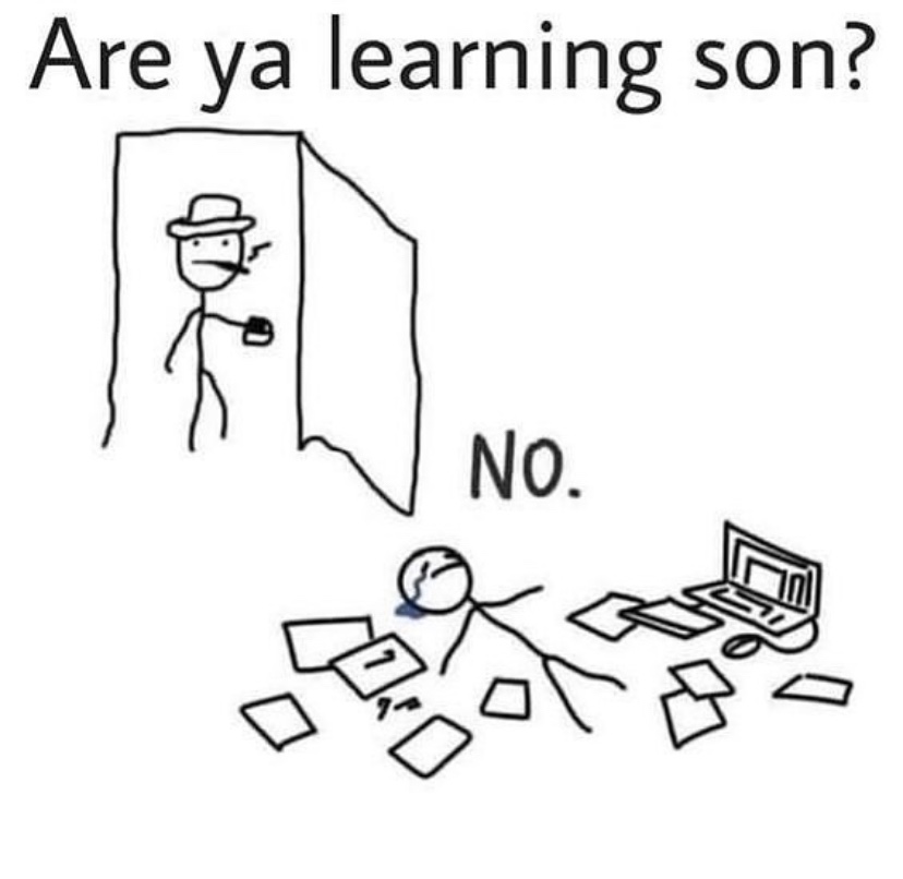 Are you learning son virtual school meme
