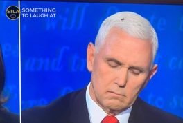 Even flies know bullshit when they smell it Mike Pence VP debate meme