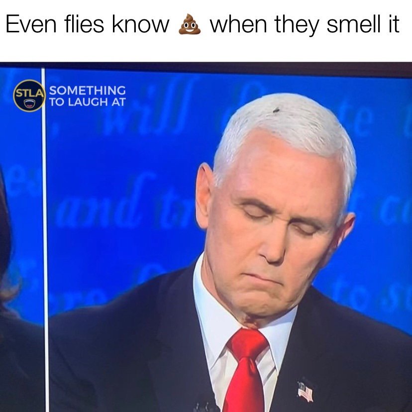 Even flies know bullshit when they smell it Mike Pence VP debate meme