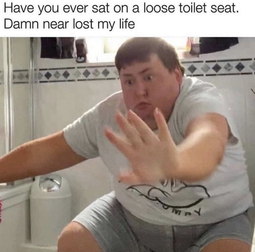 Have you ever sat on a loose toilet seat meme
