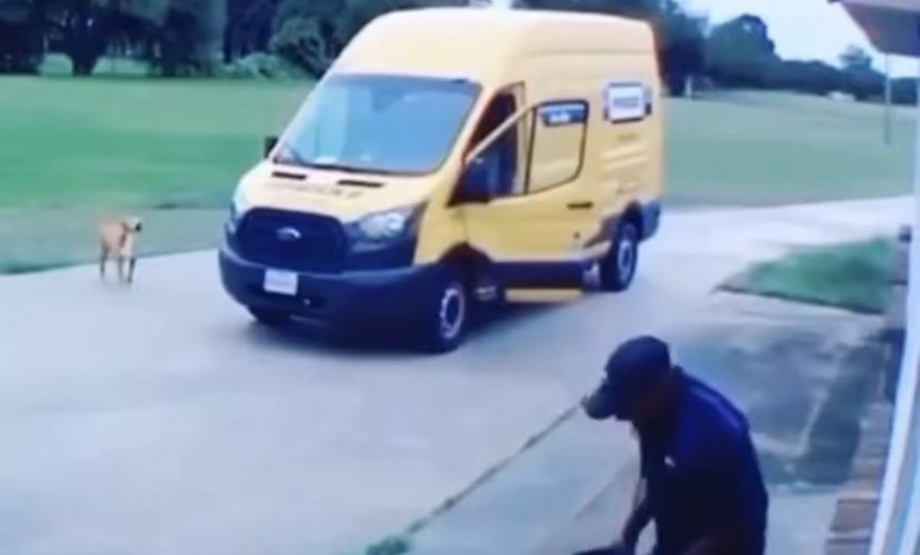 delivery man chased by dog