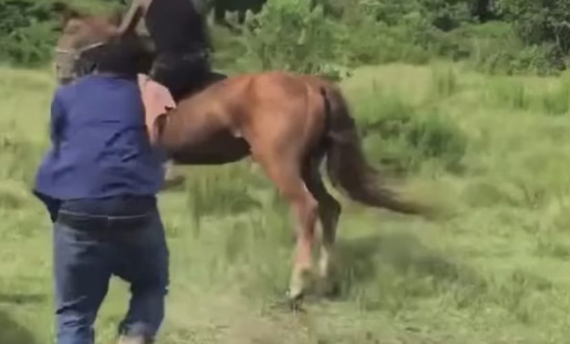 Man bucked off horse
