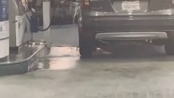 woman slips and falls pumping gas