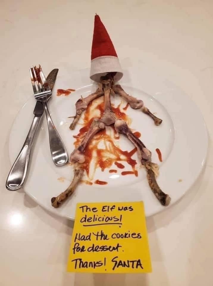 Eaten elf on the shelf bones