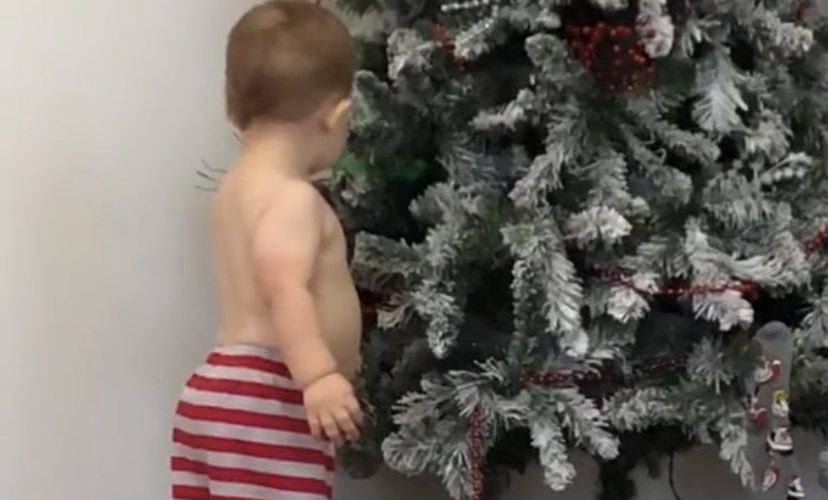 Toddler fascinated with Christmas tree