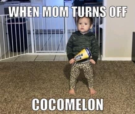 When mom turns off cocomelon Twisted Tea meme