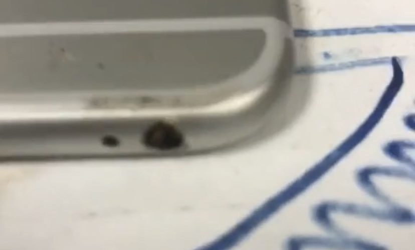 Bed bugs in iPhone