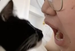 Open your mouth and see what your cat does