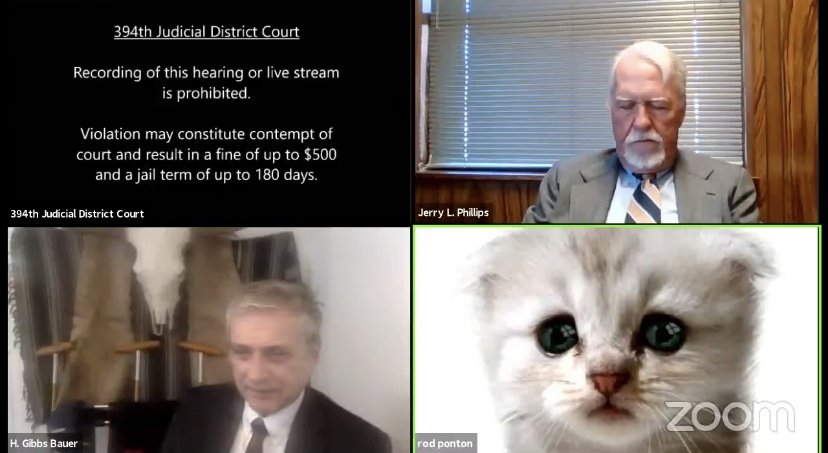 Lawyer gets stuck with cat filter on Zoom