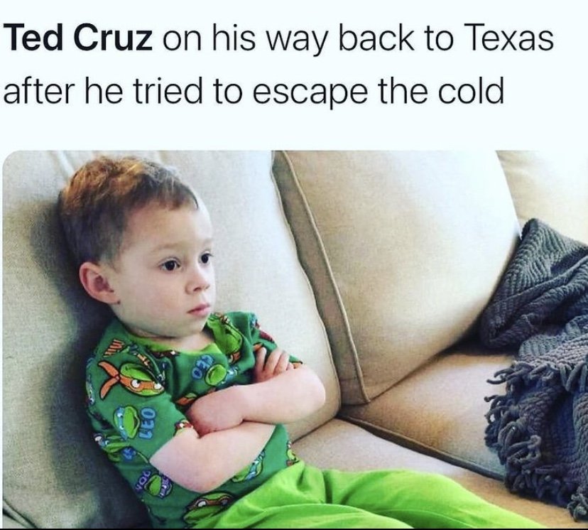 Ted Cruz on his way back to Texas after he tried to escape the cold Gavin meme